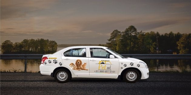 pet taxi