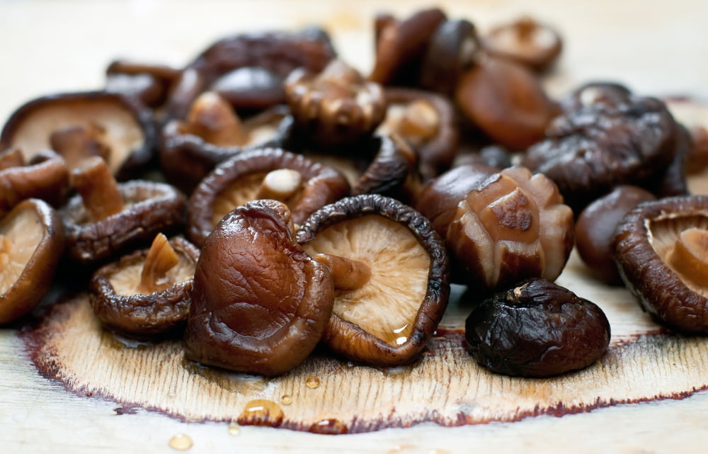 Shiitake Culinária Oriental