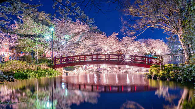 parque garyu sakura