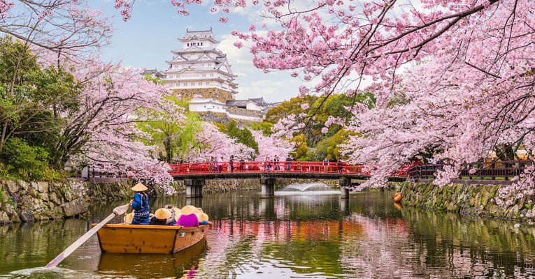 Sakura 2020: Veja a previsão das flores de cerejeira no Japão