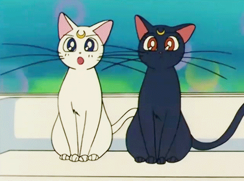 Luna e Artemis de Sailor Moon