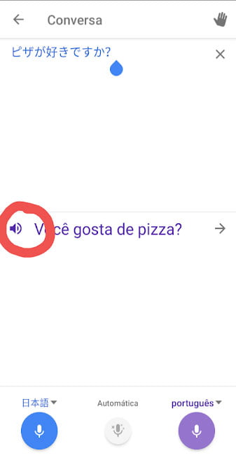 pizza em ingles google tradutor