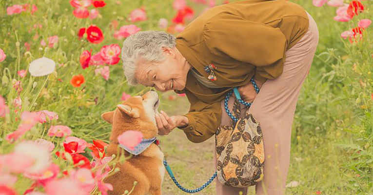 Fotografias amizade no Japão