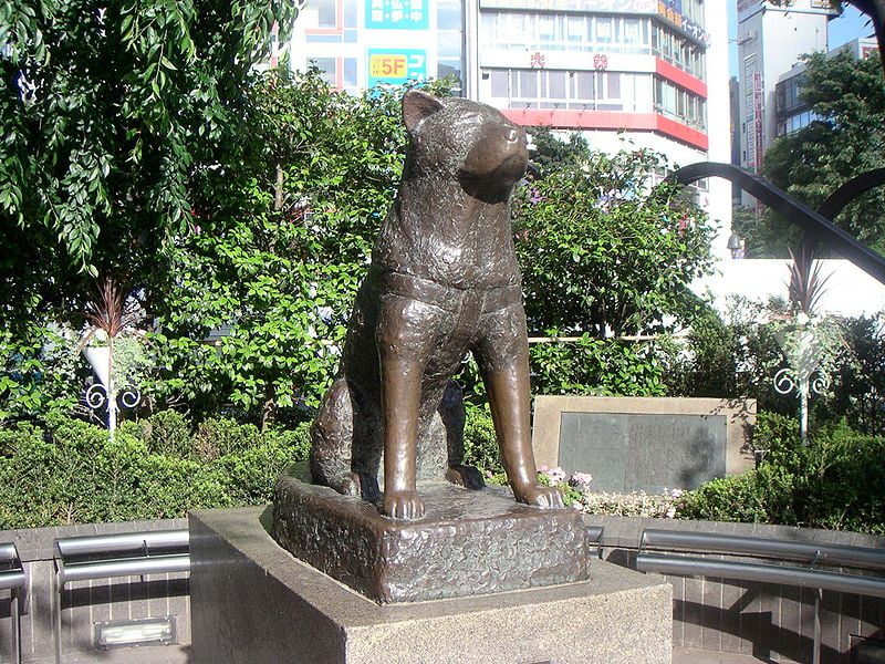 Estátua De Bronze Do Cão Famoso Hachiko, Quadrado De Hachiko