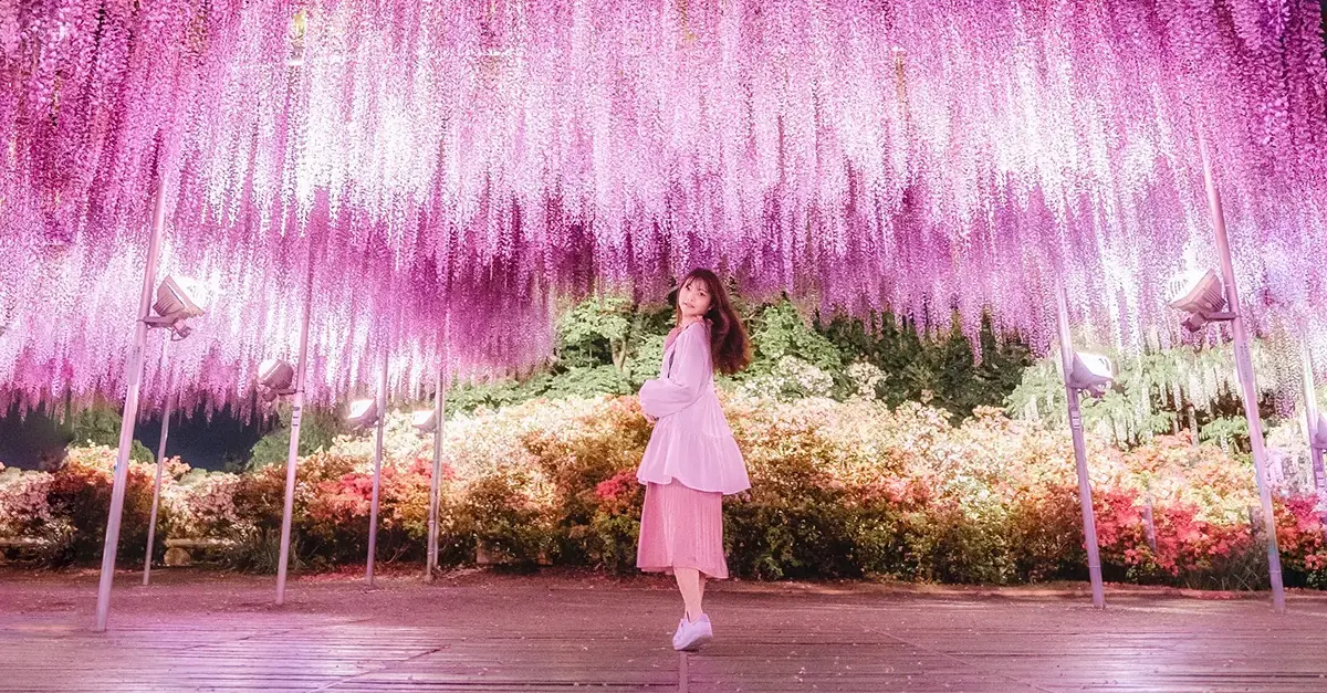 Parque das Flores de Ashikaga