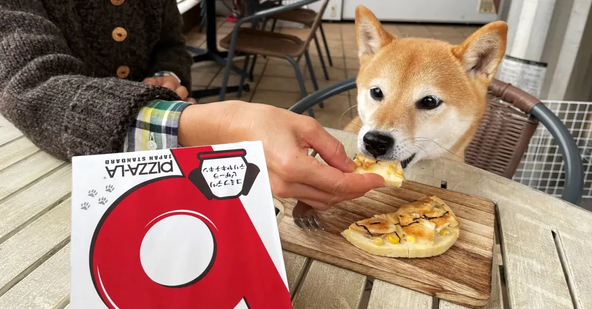 Pizza para cachorros no Japão