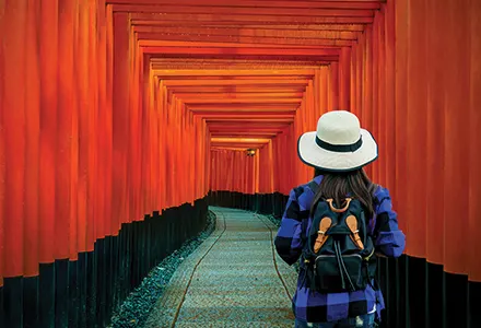 Guia no Japão andando pelos toriis