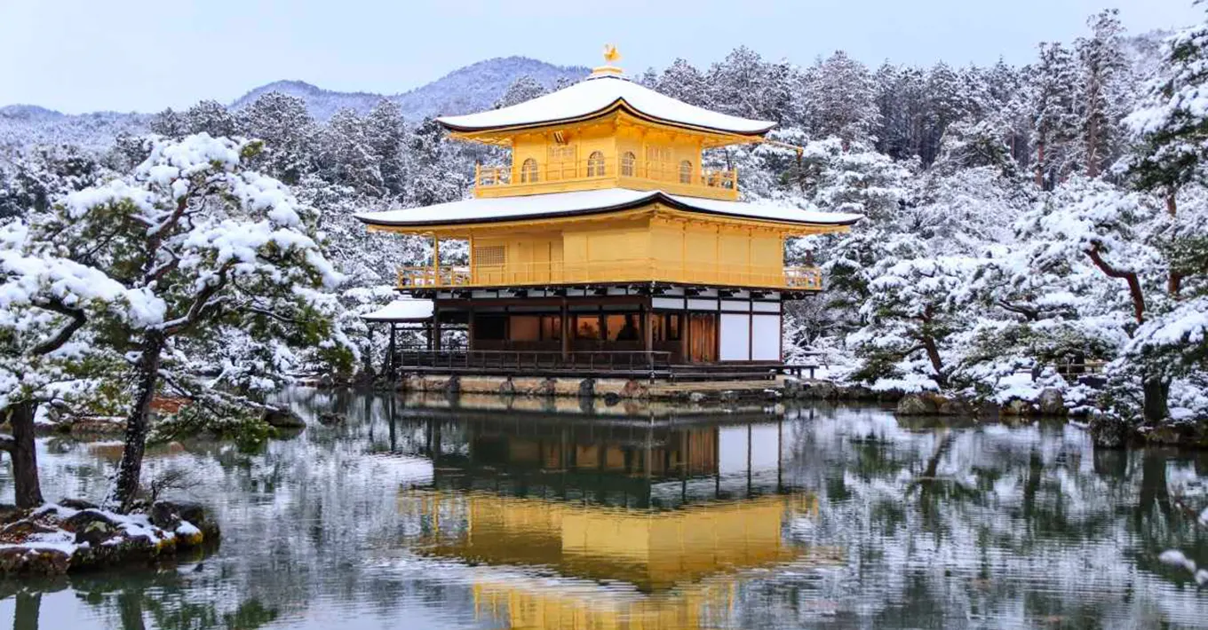 Guia brasileiro no Japão turismo em Tóquio e Quioto